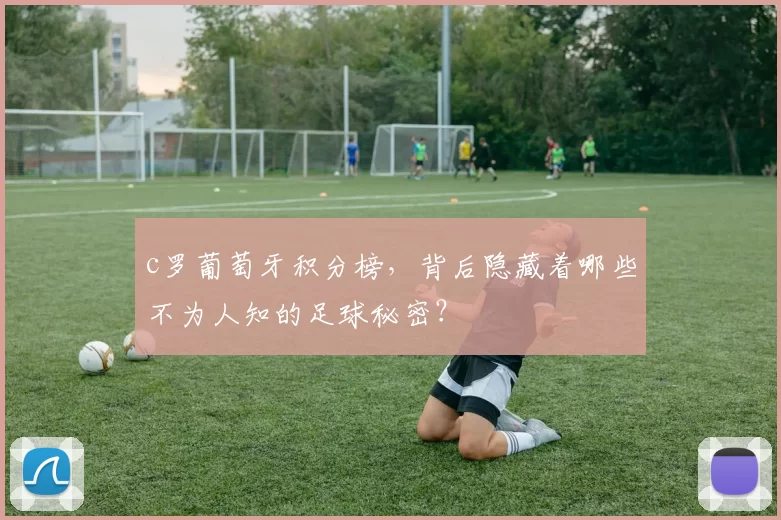 c罗葡萄牙积分榜,背后隐藏着哪些不为人知的足球秘密?